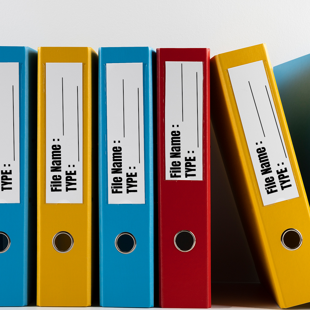 Show details for File Name & Type